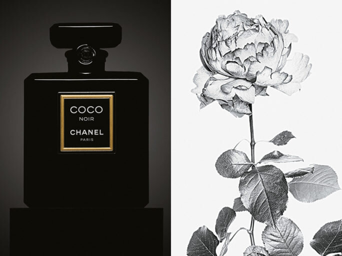 Духи Chanel Coco Noir Parfum Extrait 