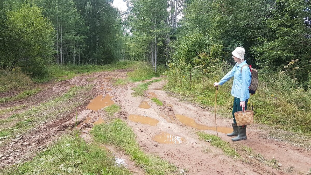 На распутье
