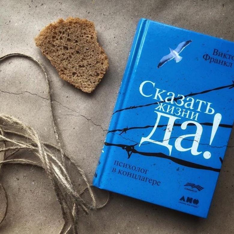 Фото из открытых источников интернета