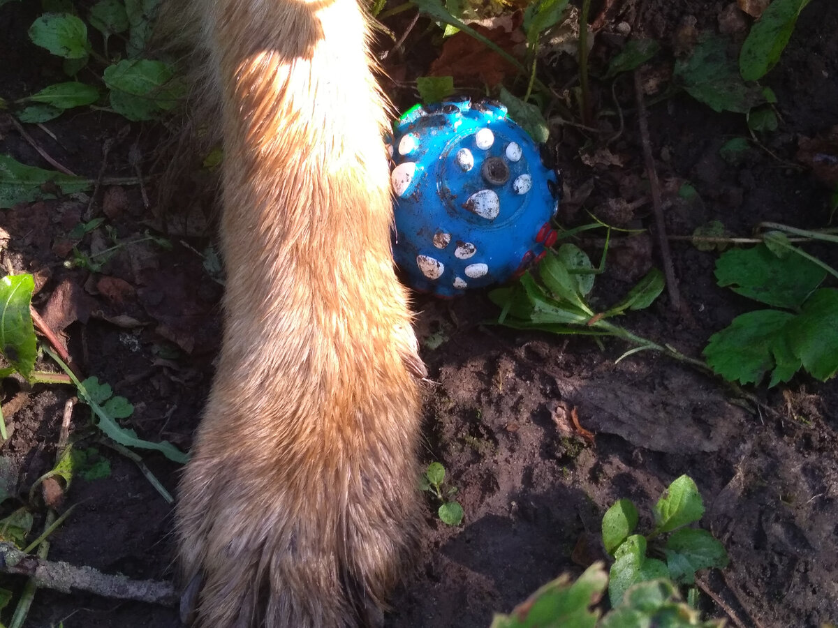 Амур с мячиком