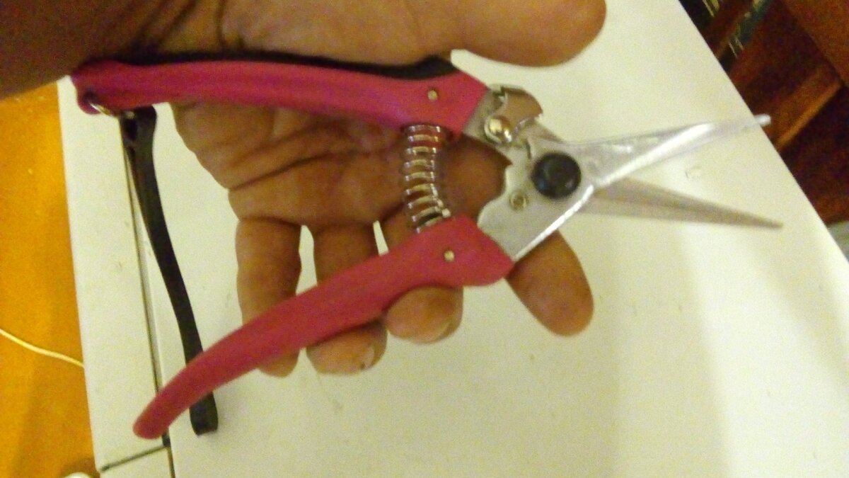 Садовые ножницы купленные в прошлом году