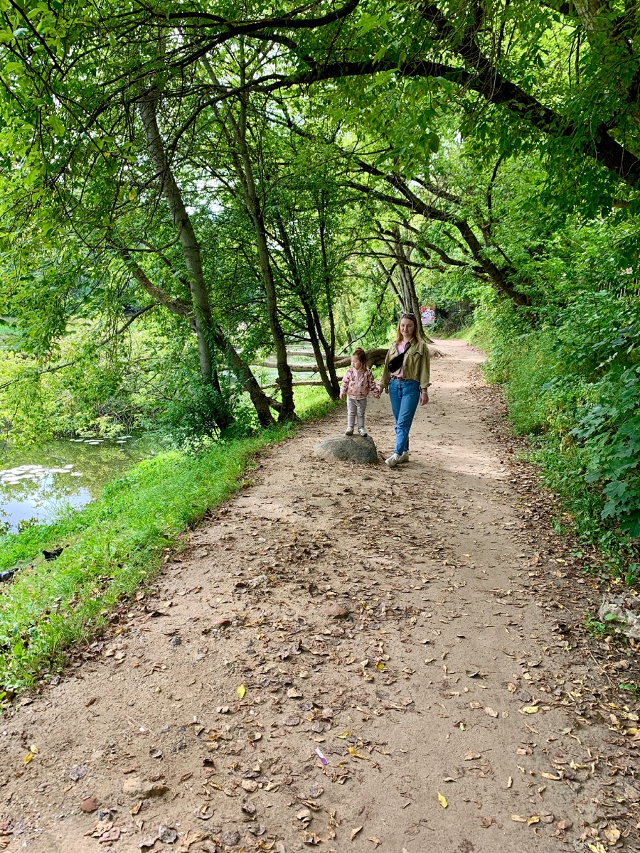 Большой Садовый пруд, Москва