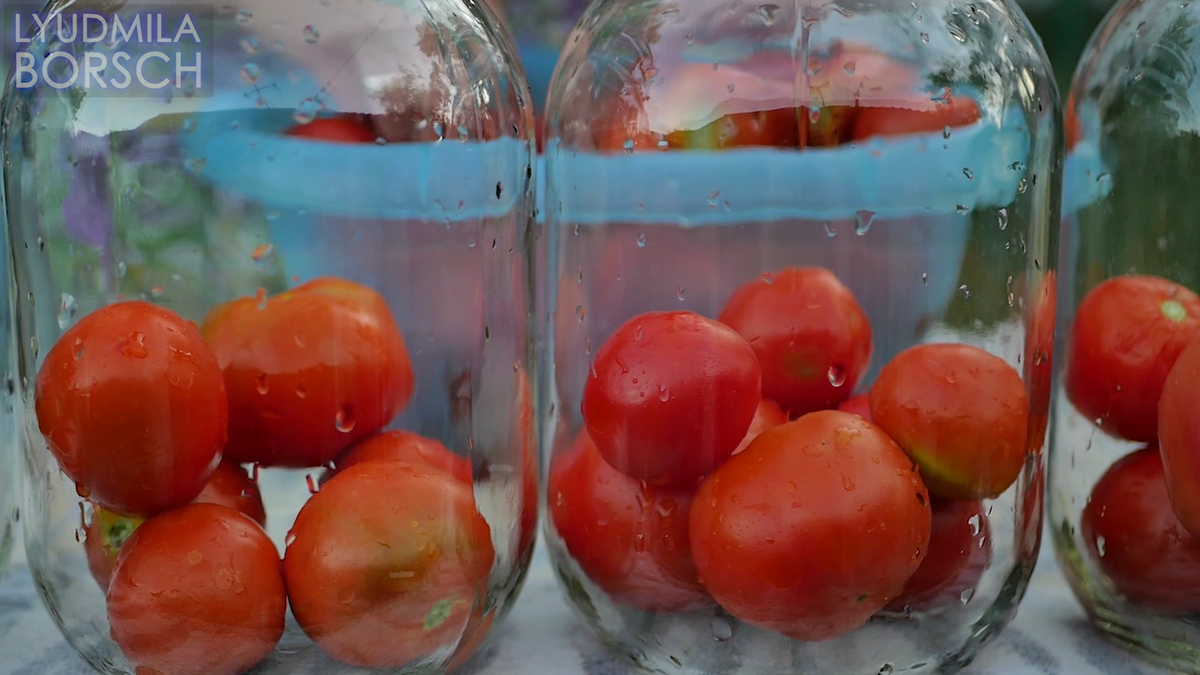Консервированные помидоры без кожицы - пошаговый рецепт с фото на rov-hyundai.ru