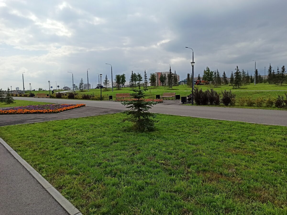 Город стал чище и зеленее