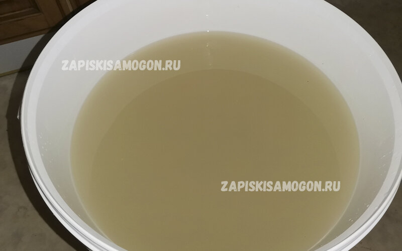 ставлю брагу на брожение