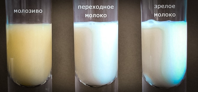 Изменение молока