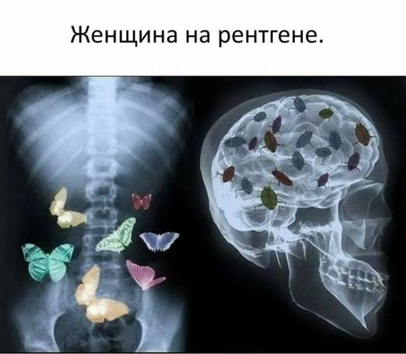 Картинка из свободного доступа