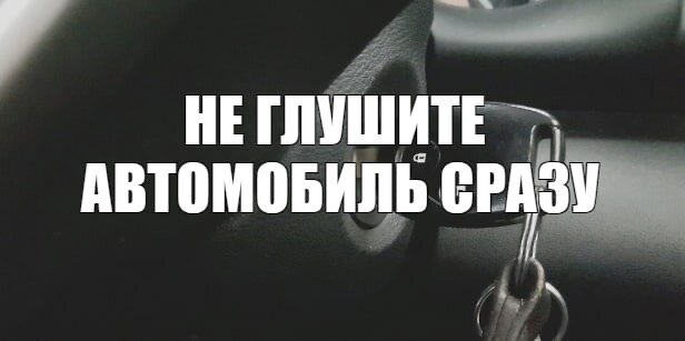 Фото взято из открытых источников