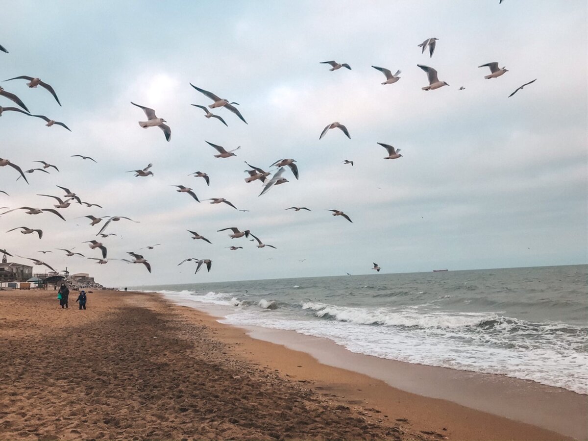 пляж Махачкалы