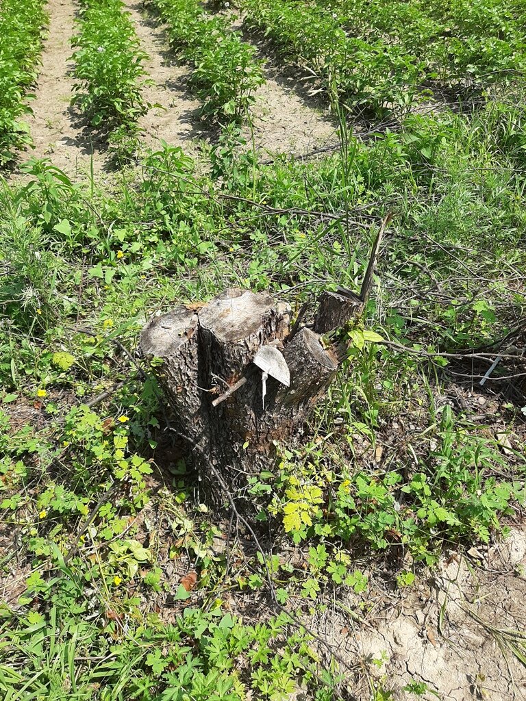 Изображение принадлежит каналу