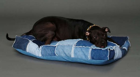 Лежак для собак своими руками: фото и видео для начинающих мастеров