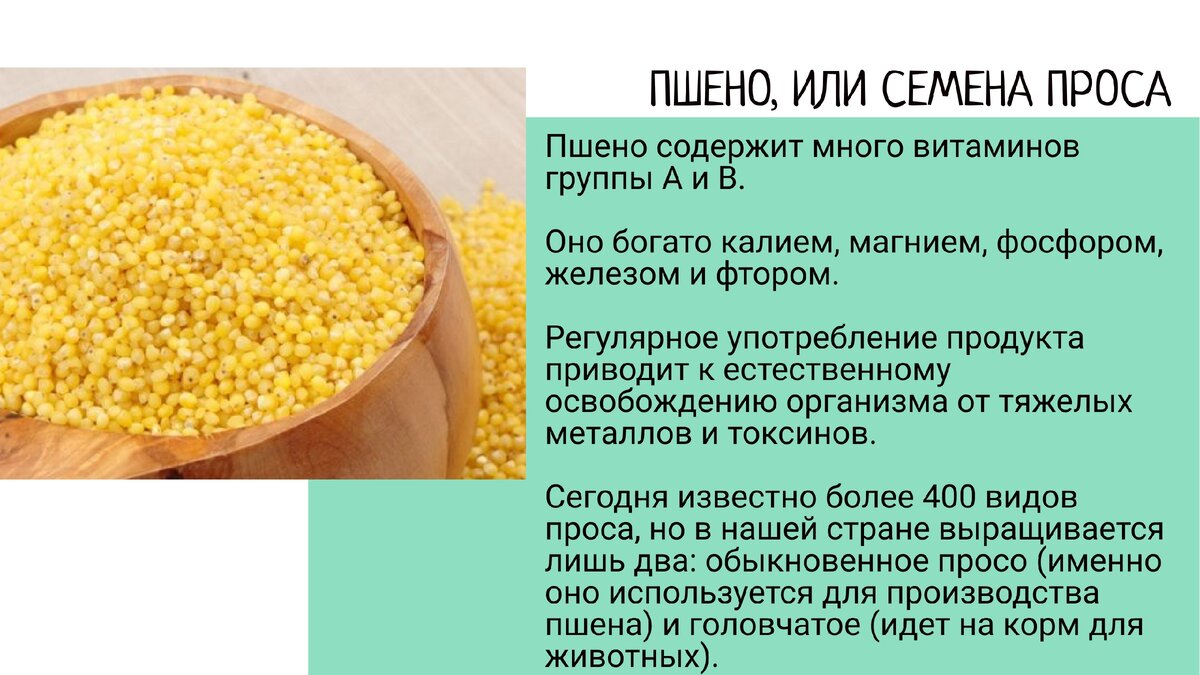 Пшено содержит. Пшенная крупа. Пшенная каша просо. Крупа пшено каша пшенная. Крупа из проса.