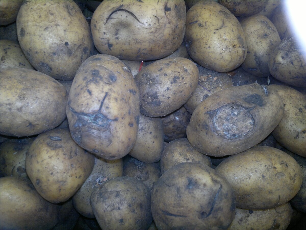  Сам сфоткал