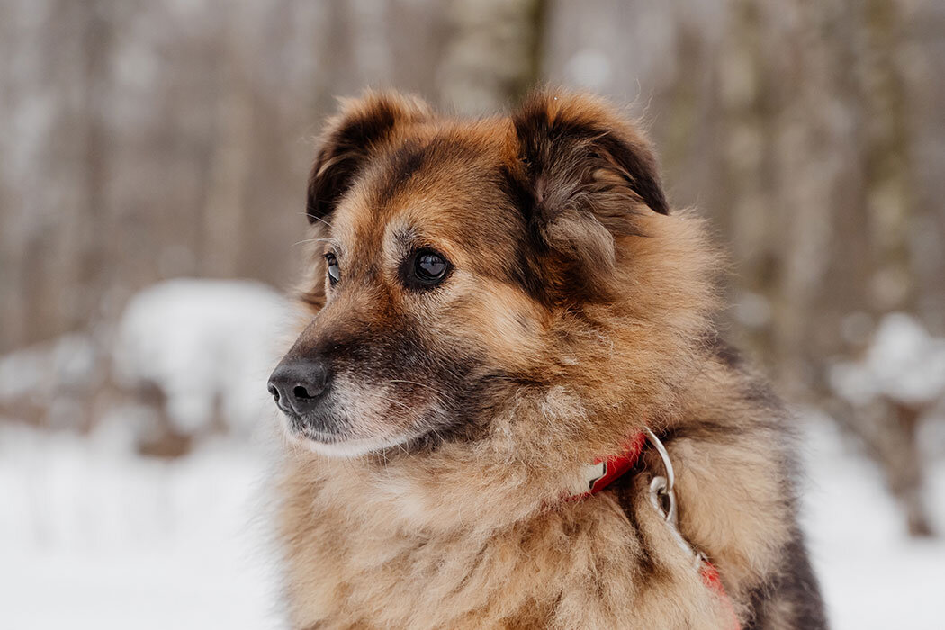Фото Николая Каширина http://www.nikolaykashirin.com/