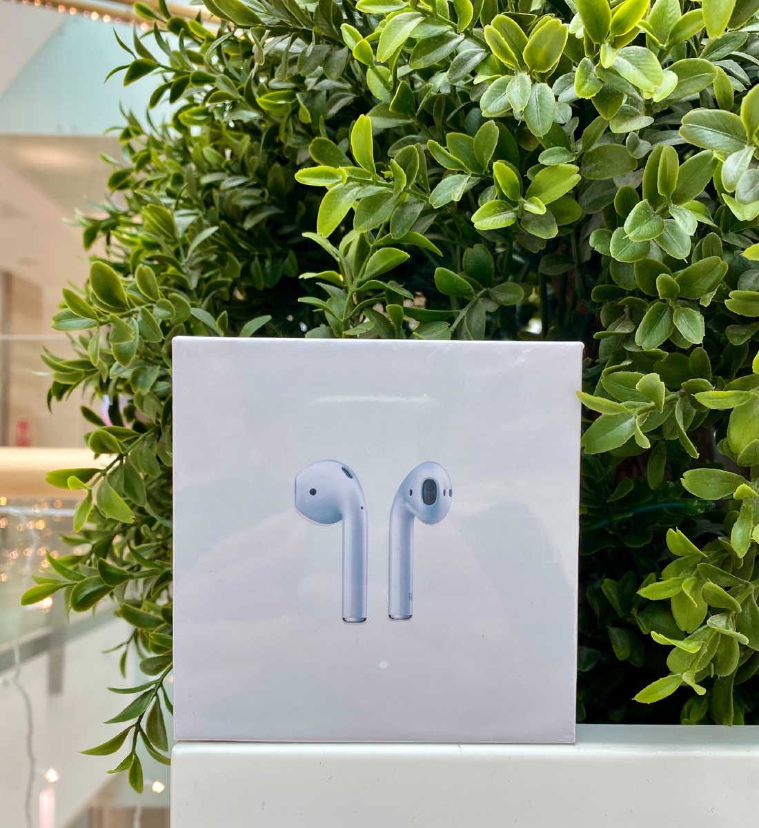 Все фотографии свои