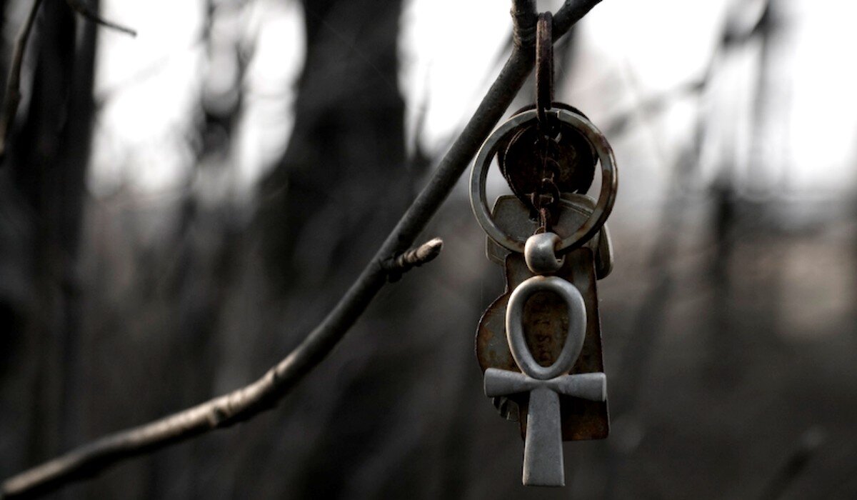 шуточный сертификат на вечную молодость. замедление старости. эликсир вечной жизни. молодость наша бессмертна. молодость бессмертие.