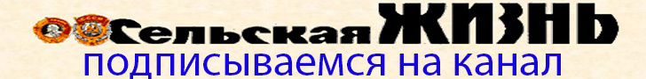 Всем доброго времени. Рад видеть вас на страничке своего канала Сельская Жизнь.
Однажды разговорились с одним знакомым который в настоящее время проживает в Москве и работает программистом.-2