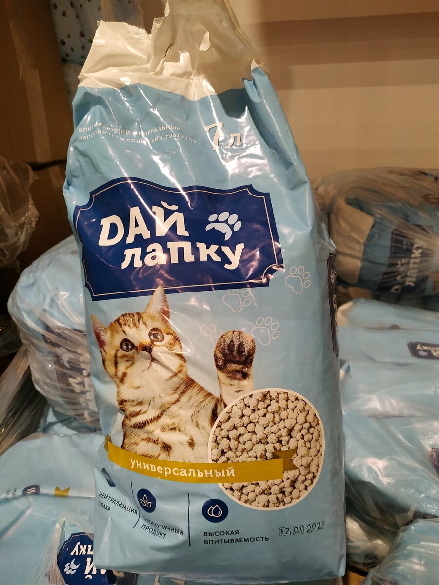 Фотография автора статьи