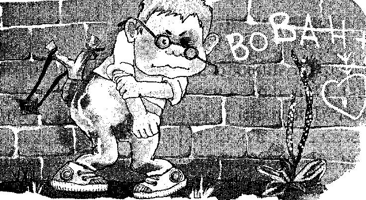 С Яндекс картинки.