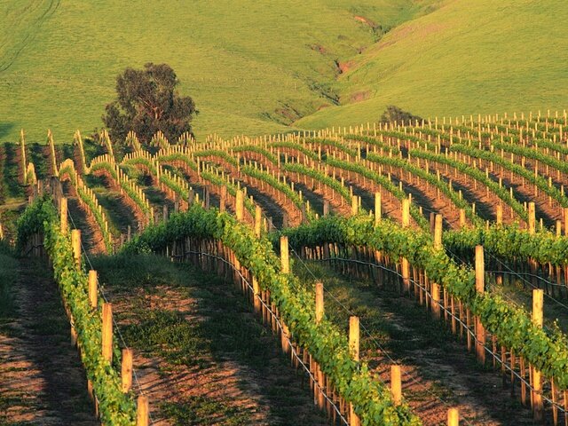 Фото из открытого источника.
