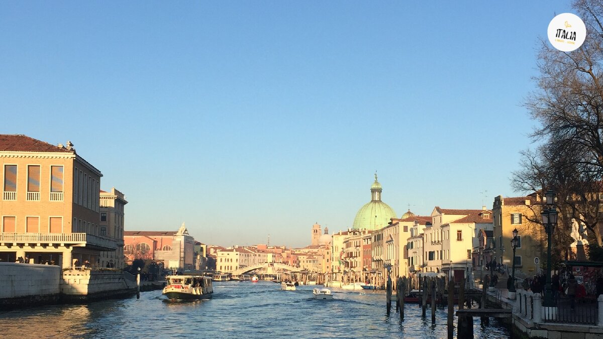 Подпишитесь на канал и поставьте лайк! Так вы поможете развитию Грации! Спасибо!