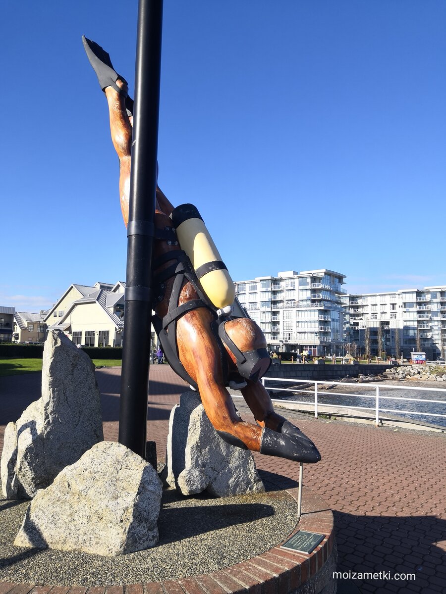 Остров Ванкувер январь