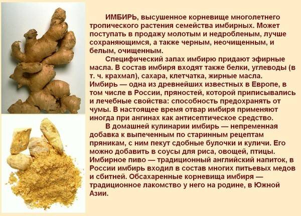 В японии корень имбиря называют Шога. А вот соус из имбиря- гари всегда подают с блюдами из свежей рыбы и сущи, так как он нейтрализует бактерии, содержащиеся в свежей рыбе.Источник: andrologmed.ru