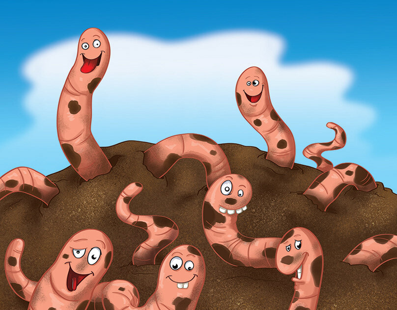 Черви для рыбалки. 