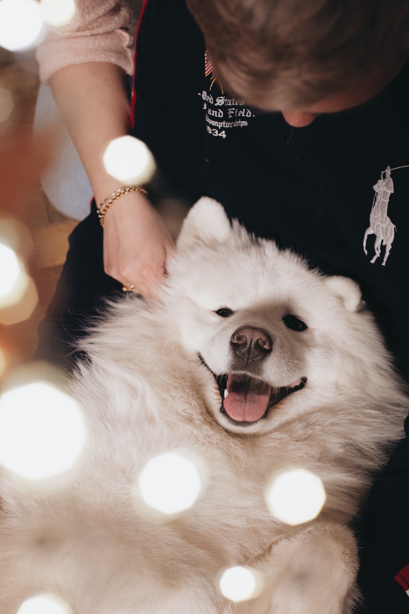 Самый счастливый в мире пес!