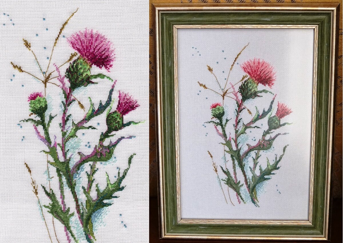 "Чертополох", производитель Panna, фото автора блога