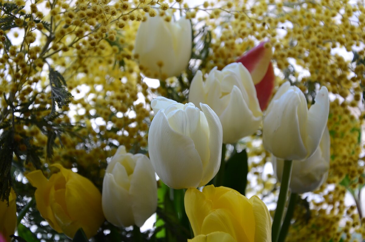 Фото из личного архива автора