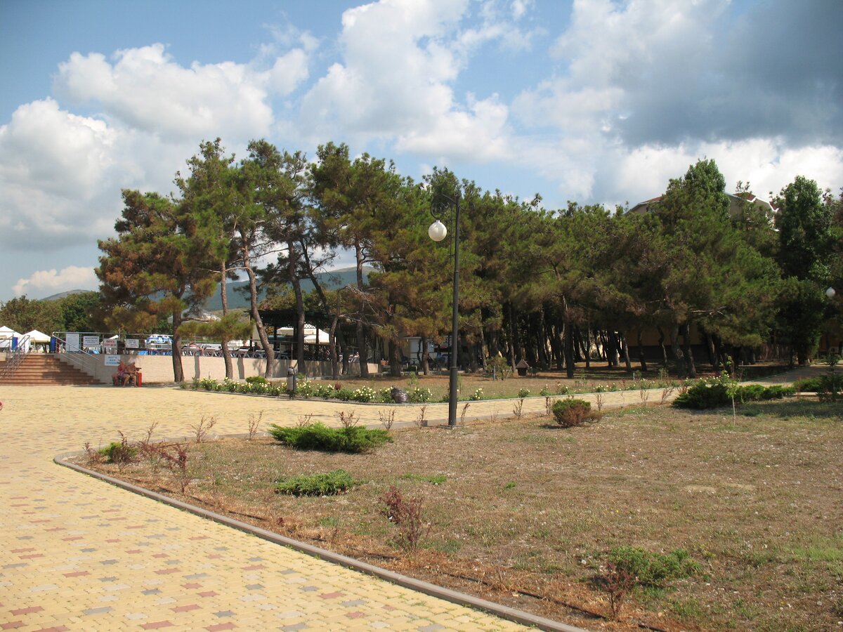 Сосны и вход в бассейн