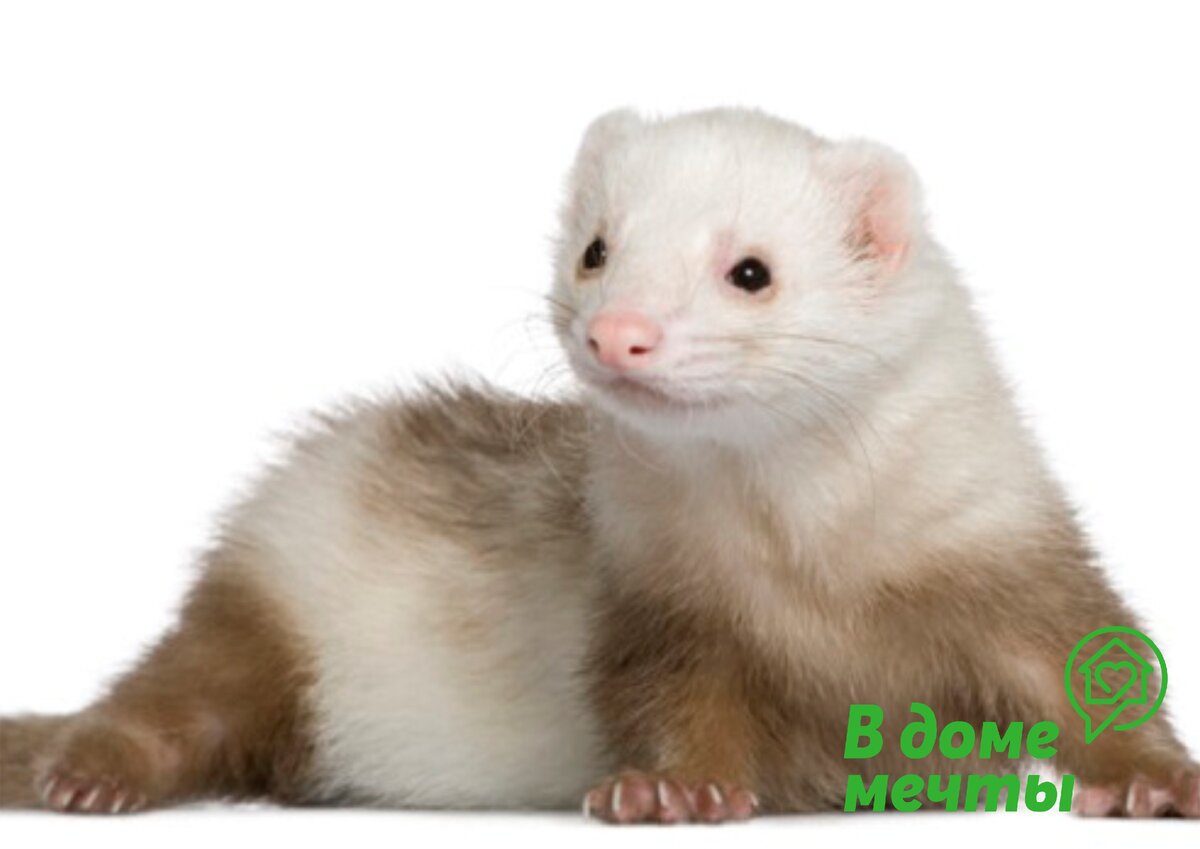 Выбор подходящего лотка