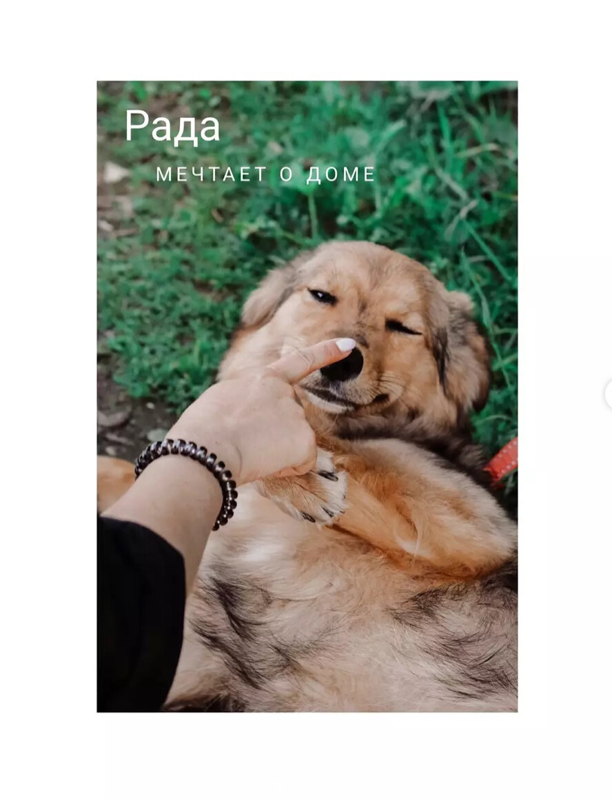 Фото из архива фонда