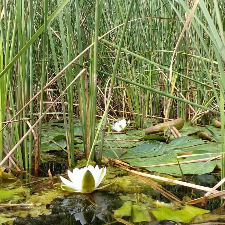 Фотография автора статьи