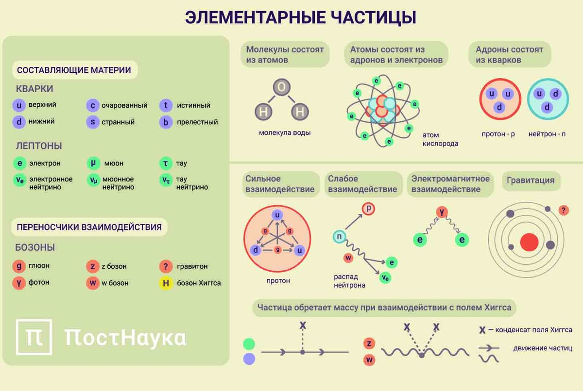 Какие есть частицы в физике