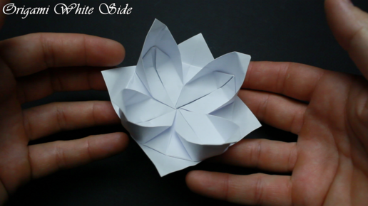 Лотос оригами из бумаги. Paper Lotus — Video | VK