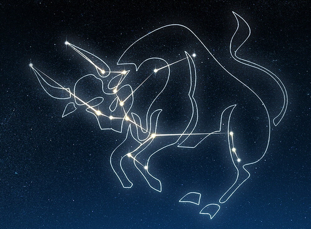 Источник - https://o-kosmose.ru/wp-content/uploads/2019/12/taureau-horoscope.jpg