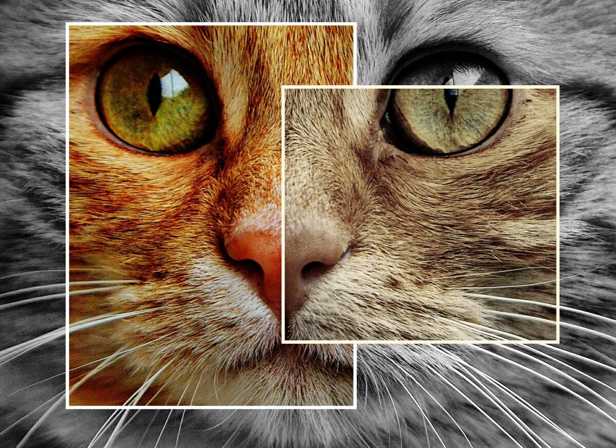 изображение фотохостинга https://pixabay.com/