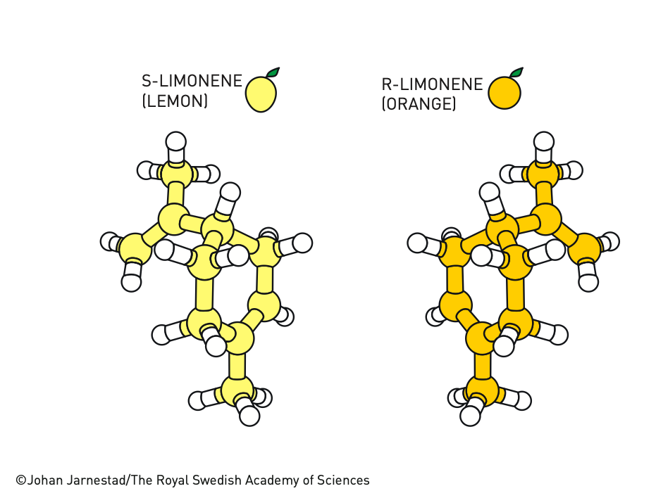 Молекула лимонена. Credit: © Johan Jarnestad/The Royal Swedish Academy of Sciences