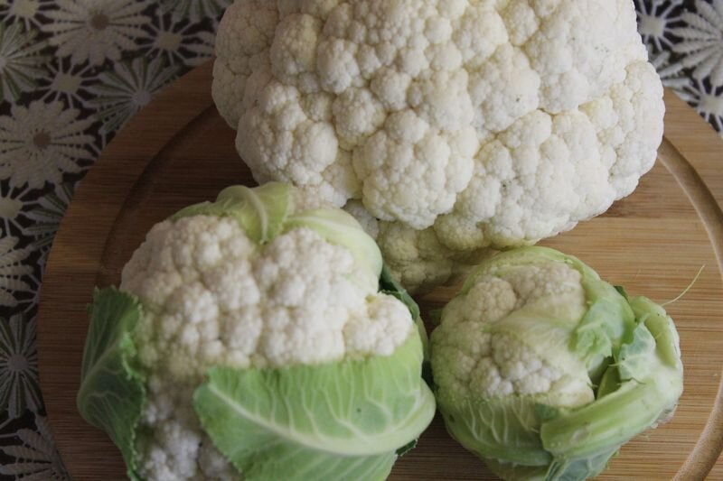 наш весь урожай цветной капусты в этом году! мы старались и у нас всё получилось! кто молодцы? мы молодцы!