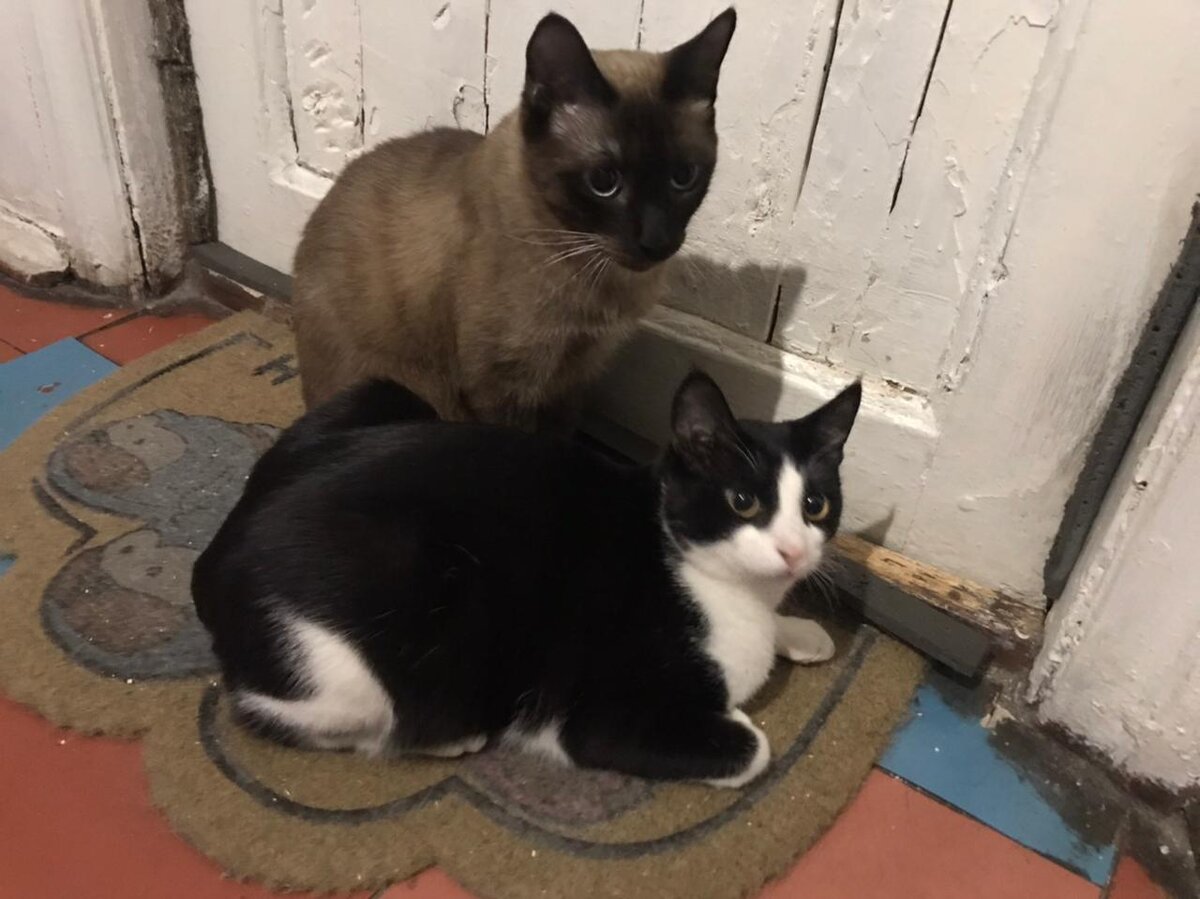 5 советов по апгрейду «убитой» комнаты в коммуналке | CLÄDER мебель ...