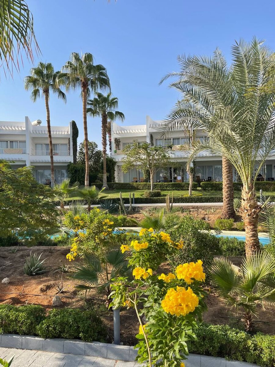 Территория отеля Monte Carlo Sharm Resort Spa & Aqua Park 5 *