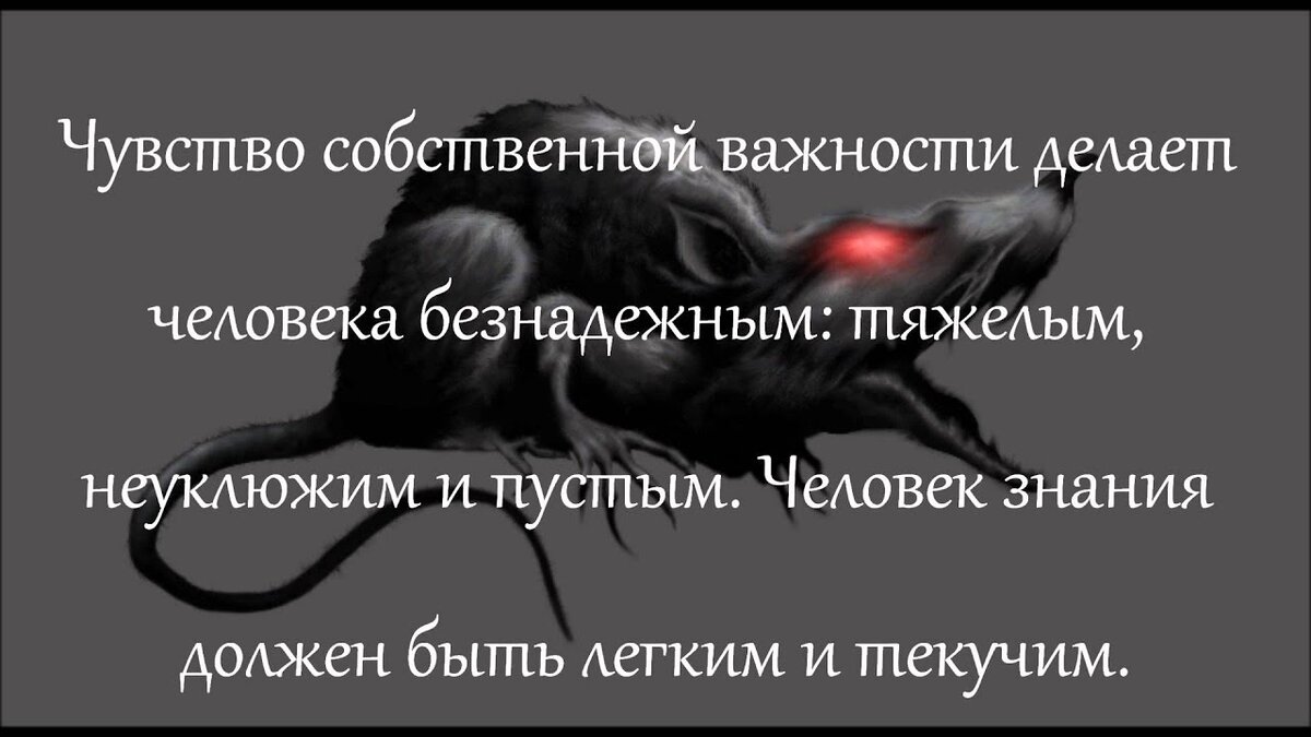 ...вот по этому...