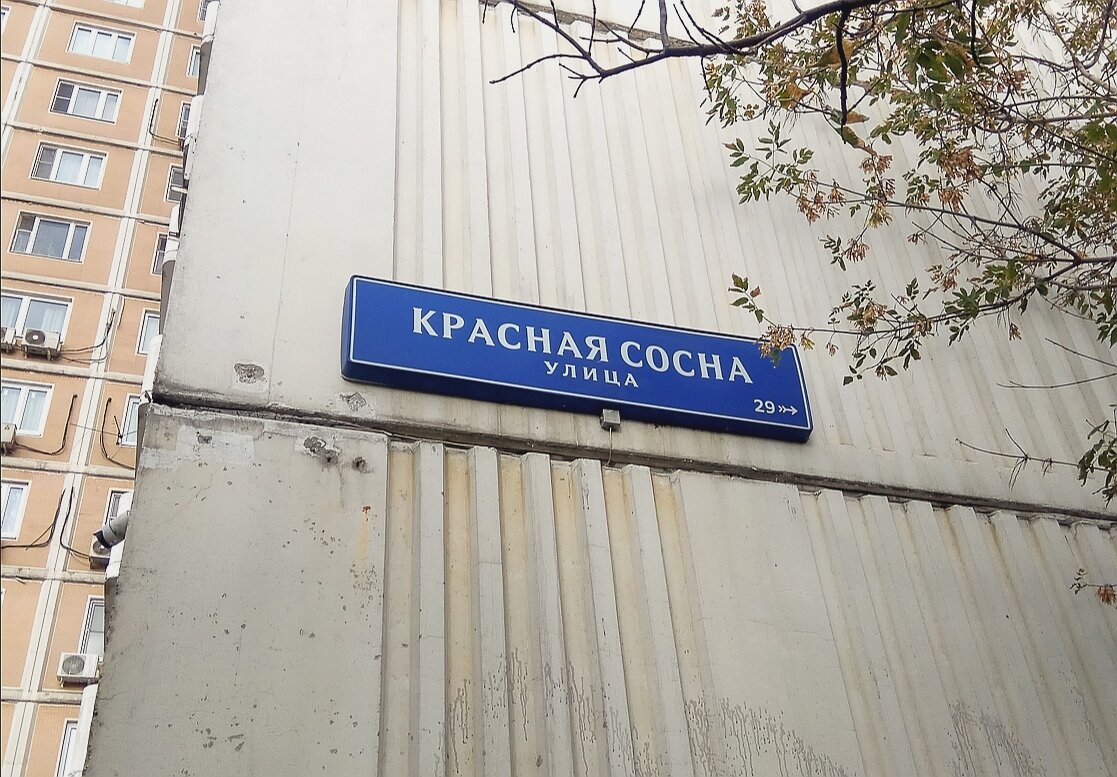 Название улицы рф. Москва улица красная сосна красная сосна. Улица красной сосны дом 3. Название улиц. Улицы в Москве названия.