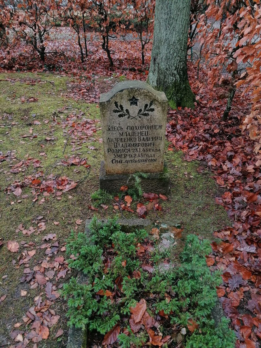 Фото из личного архива автора поста