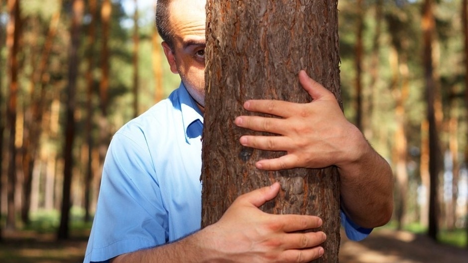 
Иллюстративное фото