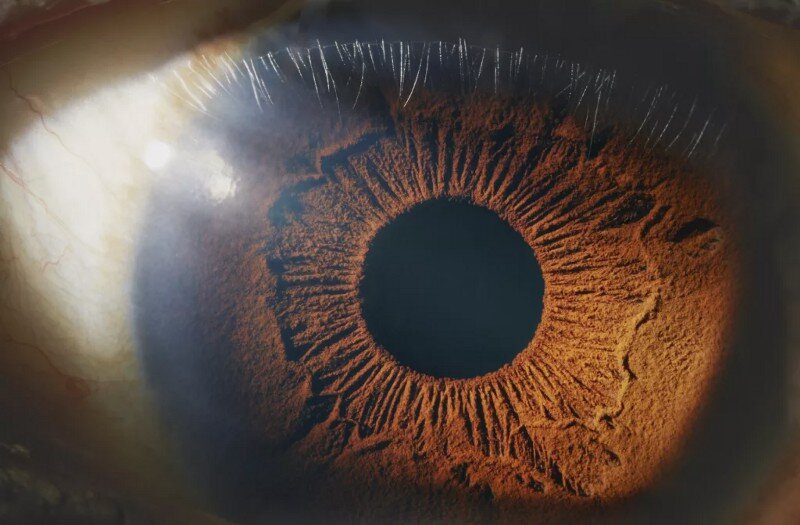 (Image credit: Peter Finch via Getty Images)