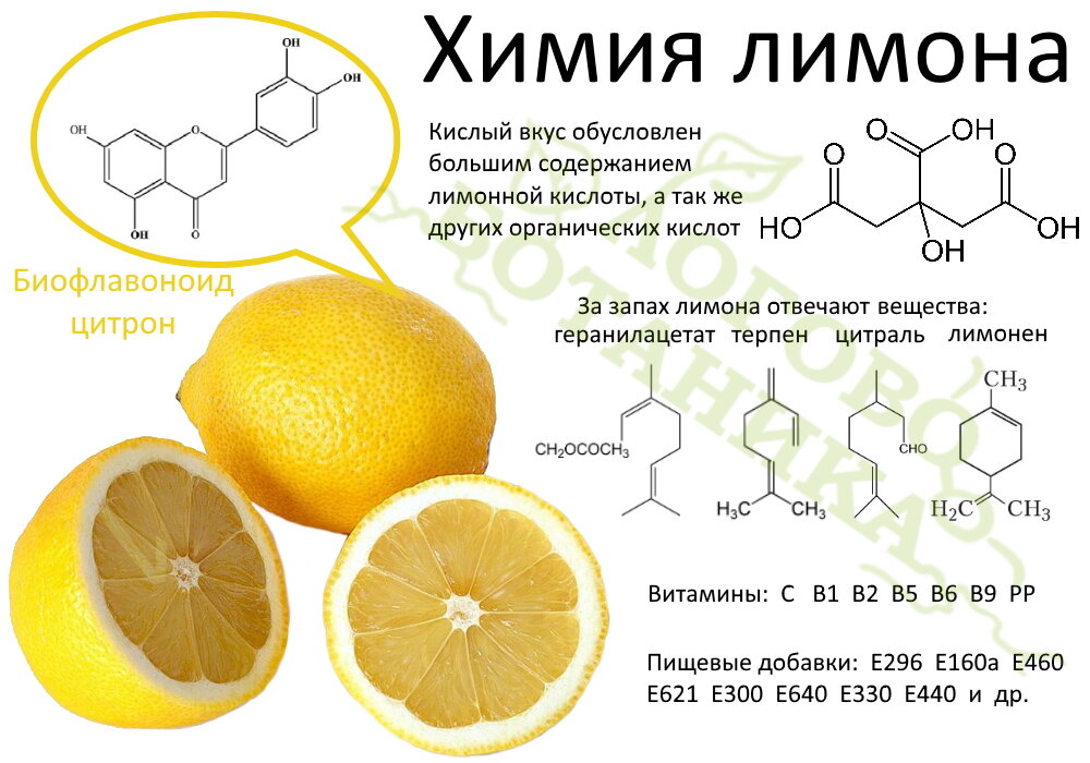 Химия в продуктах.