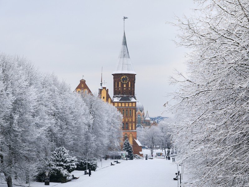 Фото из открытых ресурсов интернета